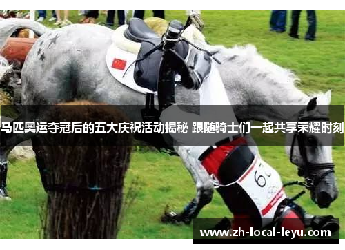 马匹奥运夺冠后的五大庆祝活动揭秘 跟随骑士们一起共享荣耀时刻